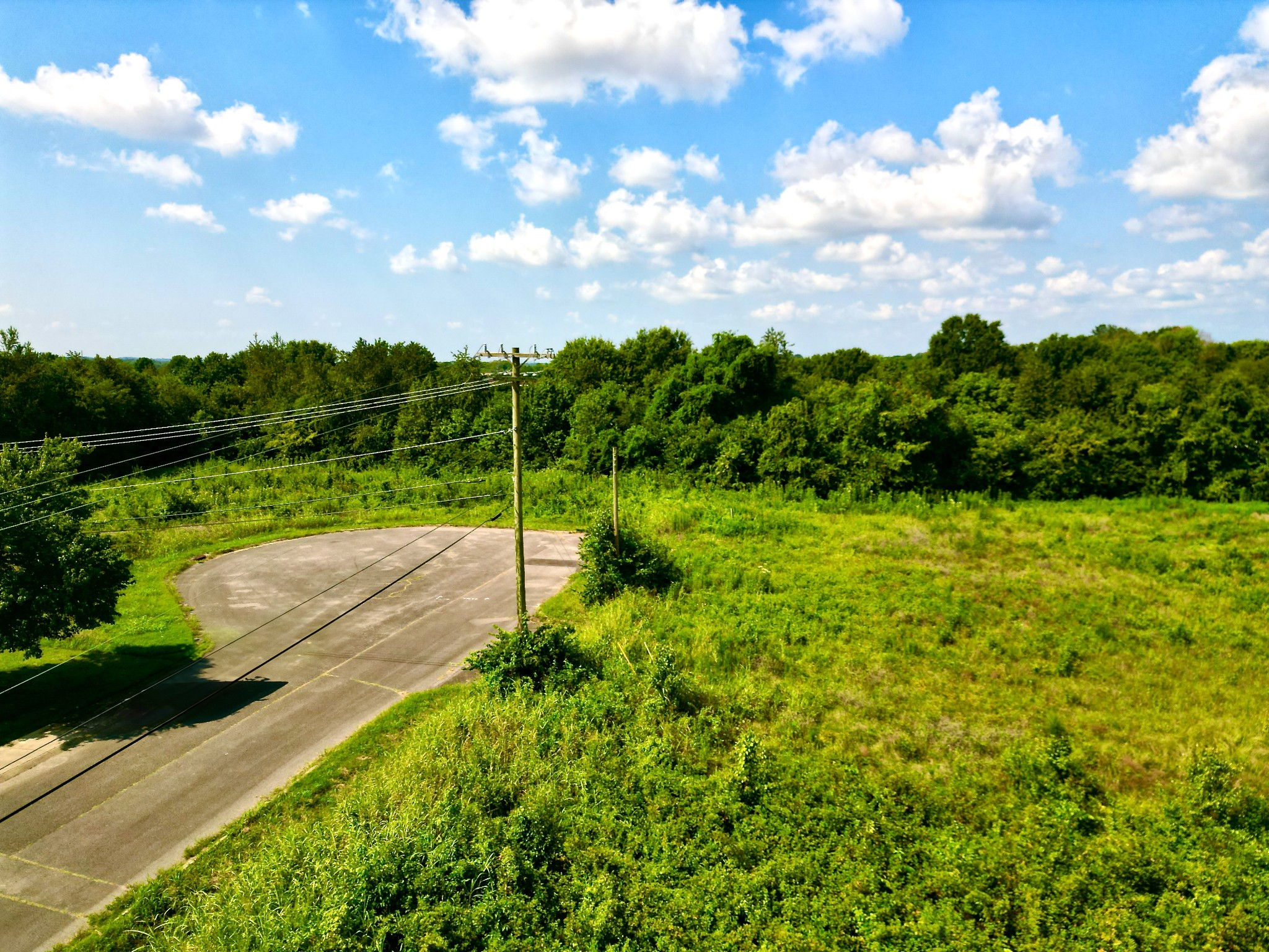 a view of a garden with a building