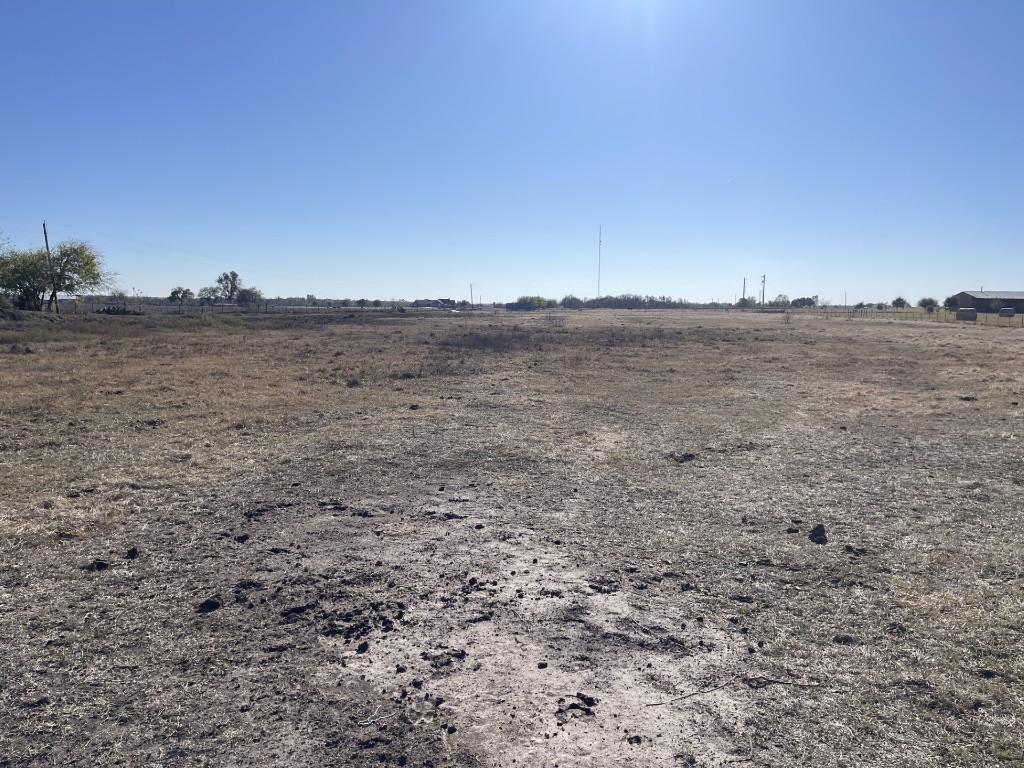 a view of a dry field with trees in the background