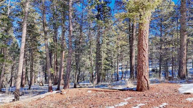 $28,000 | 28 Deer Circle | Colorado Mountain Estates