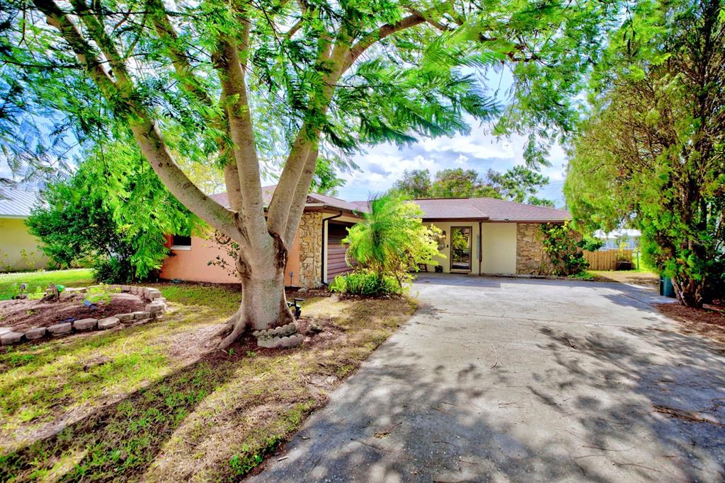 a view of a house with a tree and a tree