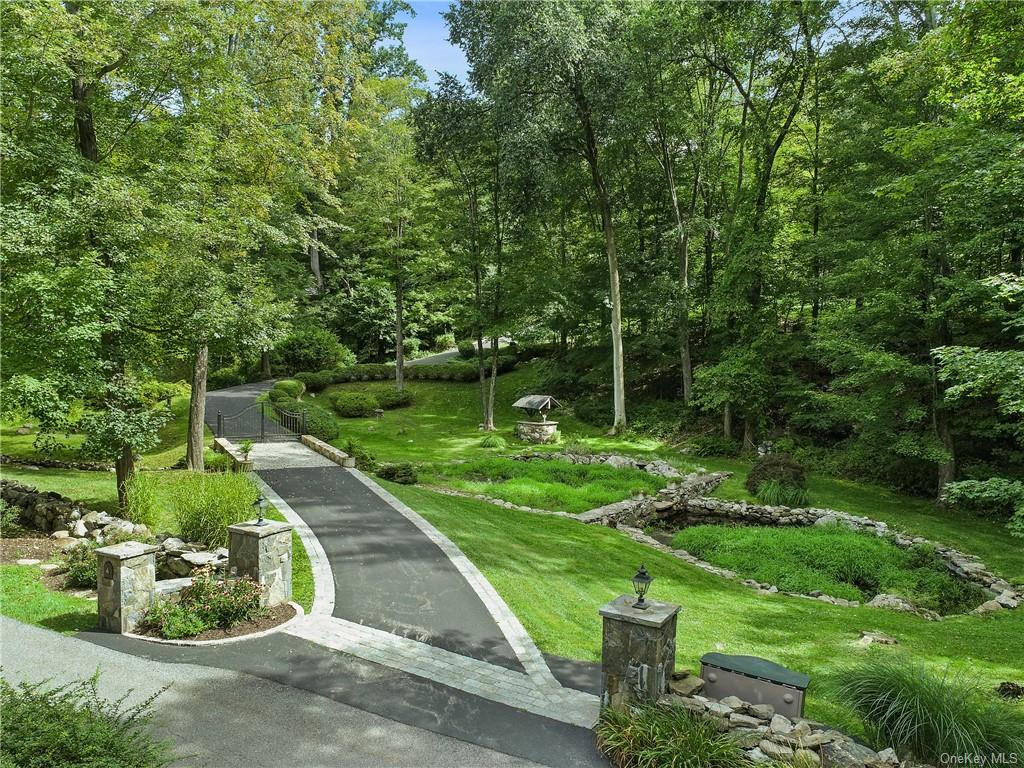 a view of a park with large trees