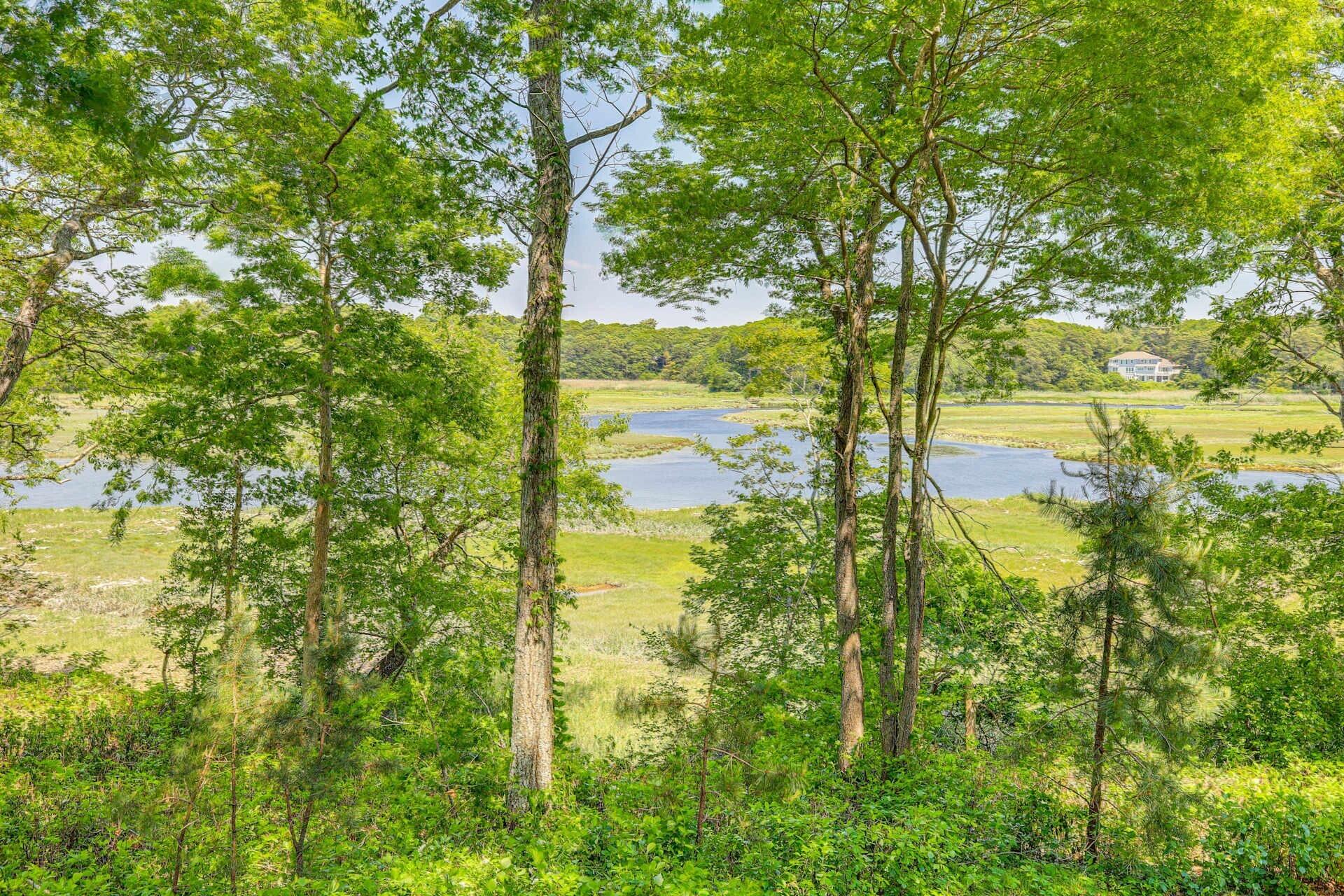 a view of a lake view