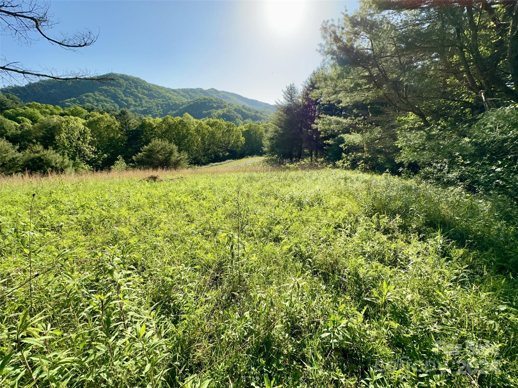 a view of a lush green field with a mountain in the background