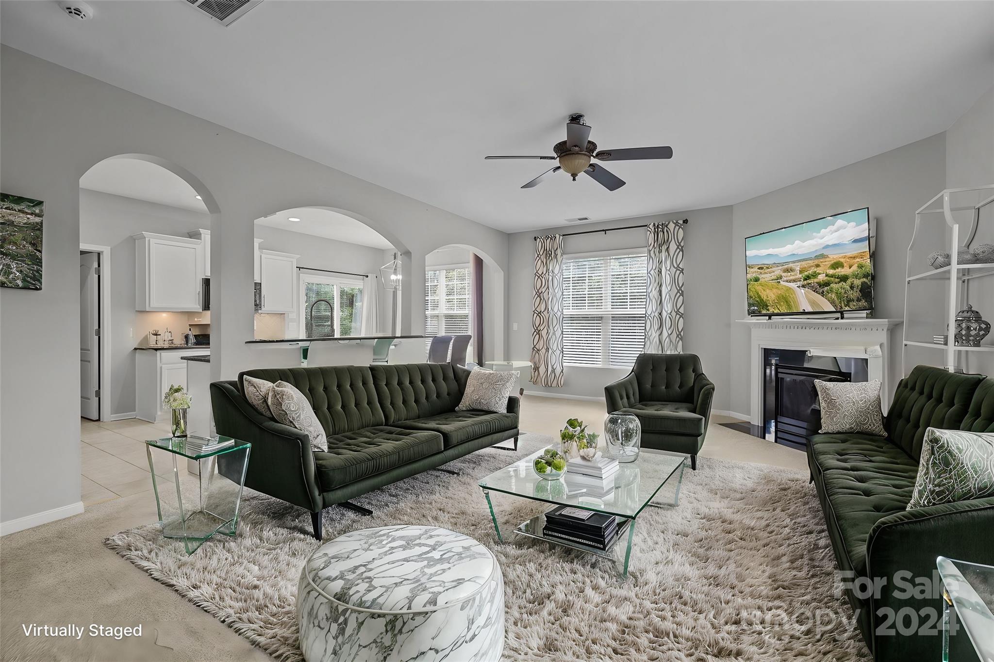 a living room with furniture ceiling fan and a rug