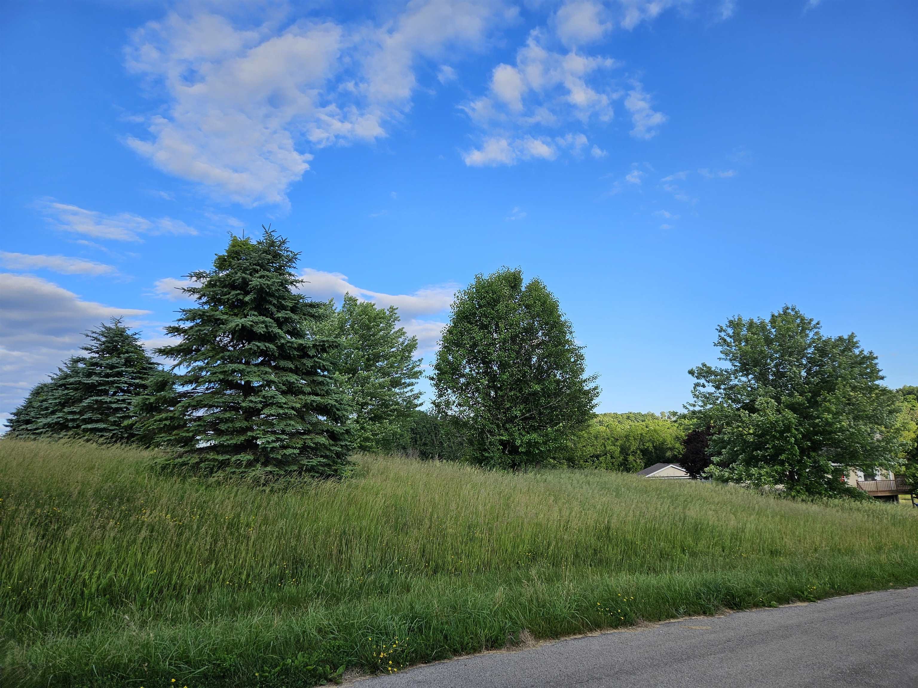 a view of a yard with a tree