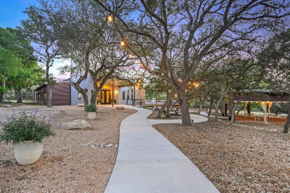 a view of a yard with trees