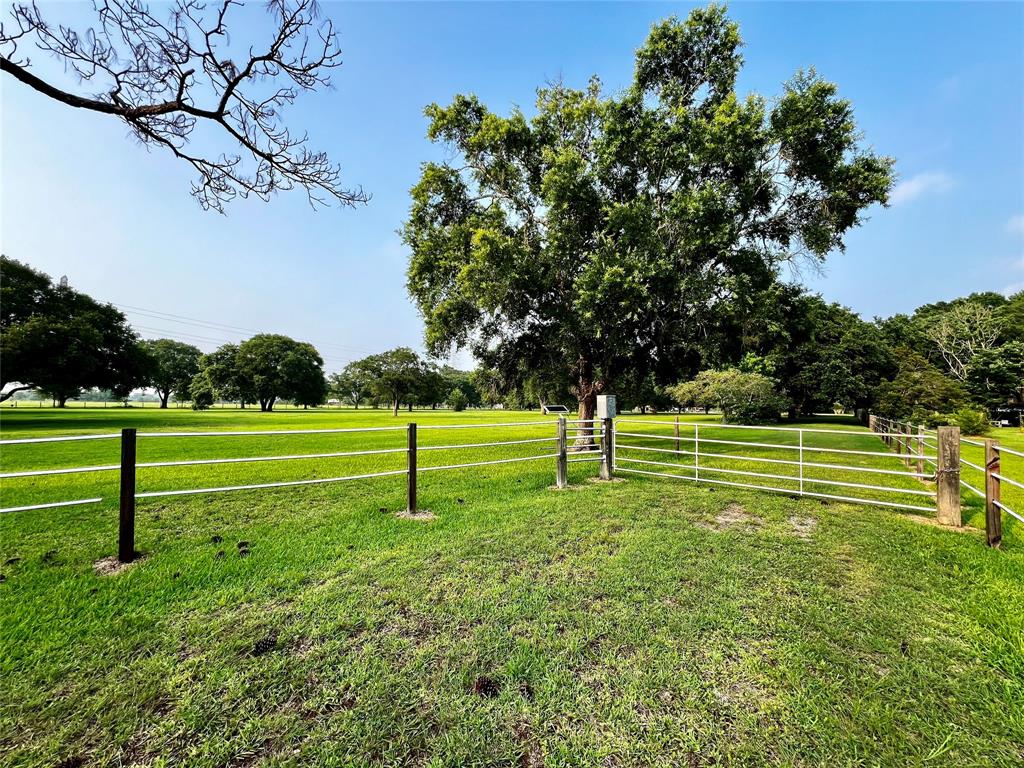 a view of a park