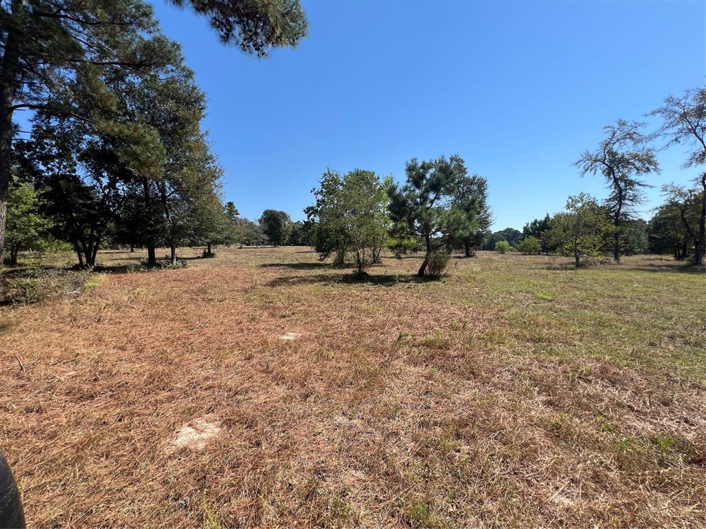 a view of a field with trees in the background