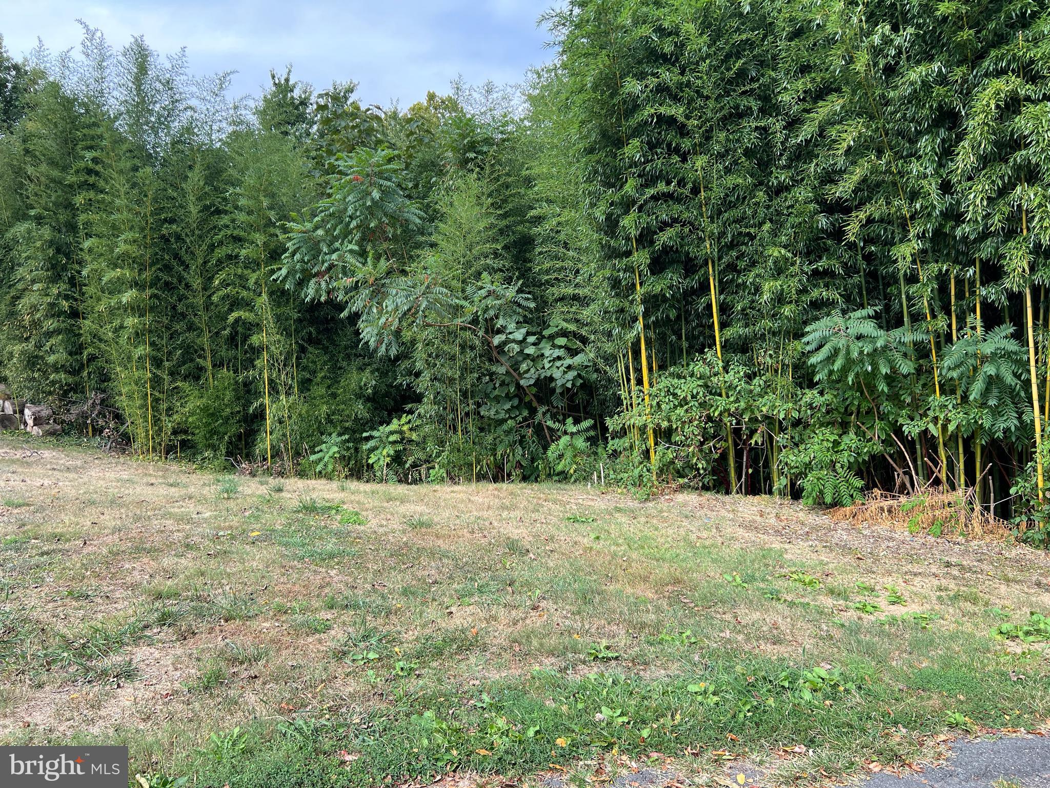 a view of an outdoor space and a yard