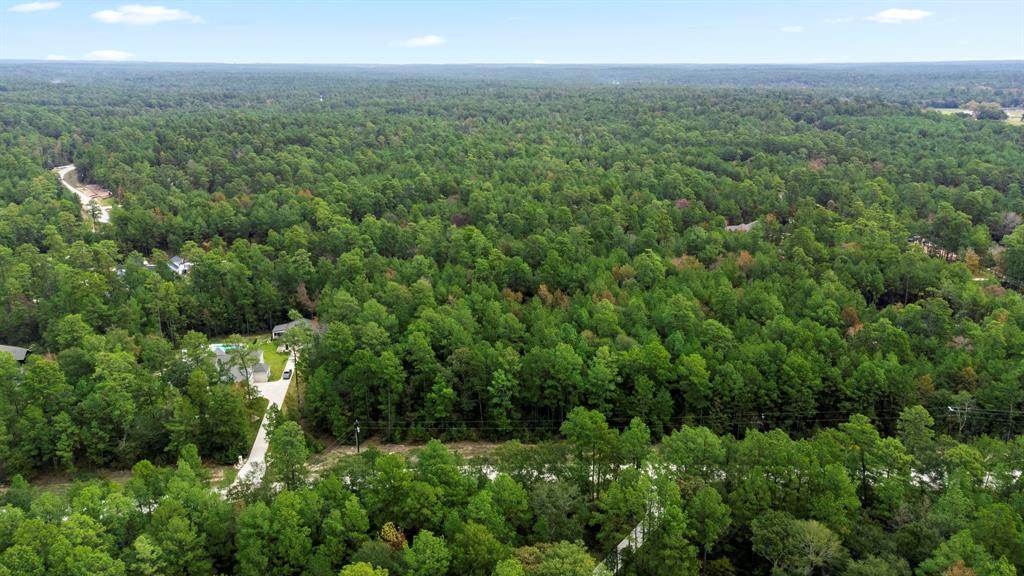 a view of a lush green forest with lots of trees