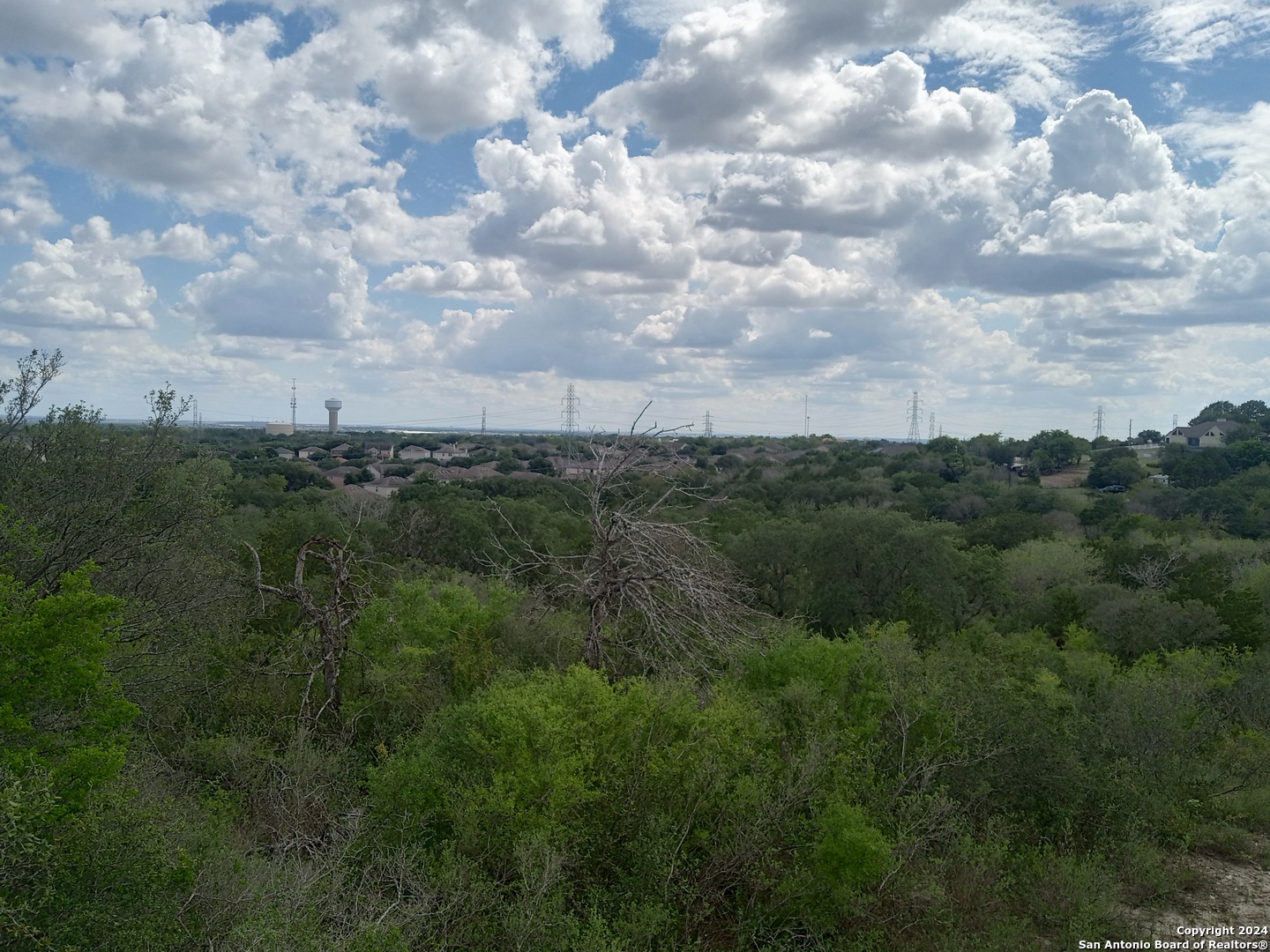 a view of a lot of trees