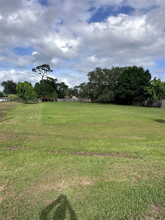 a view of a field with an trees in the background