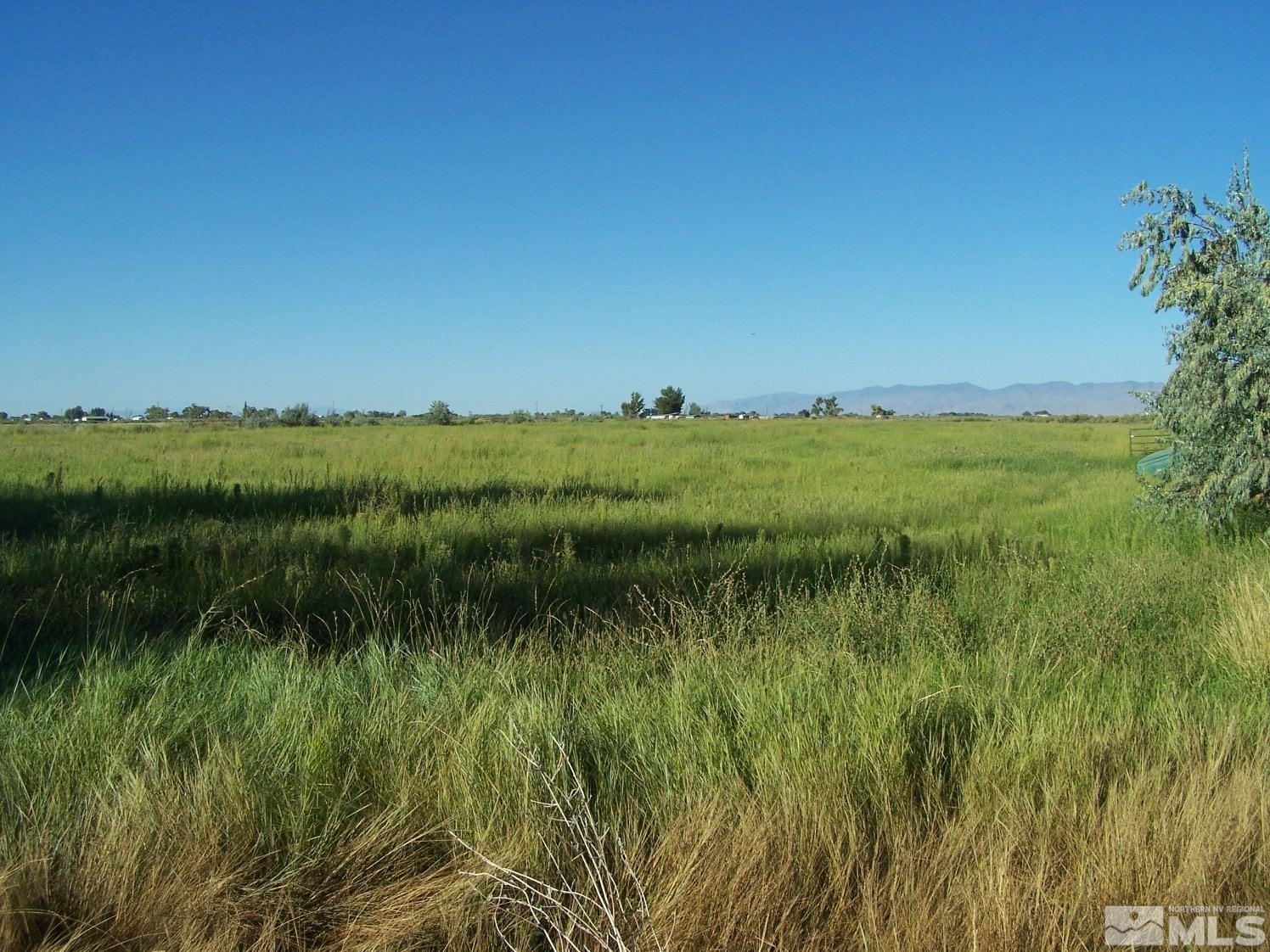 a view of a green field with plants in it