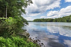 a view of a lake from a yard