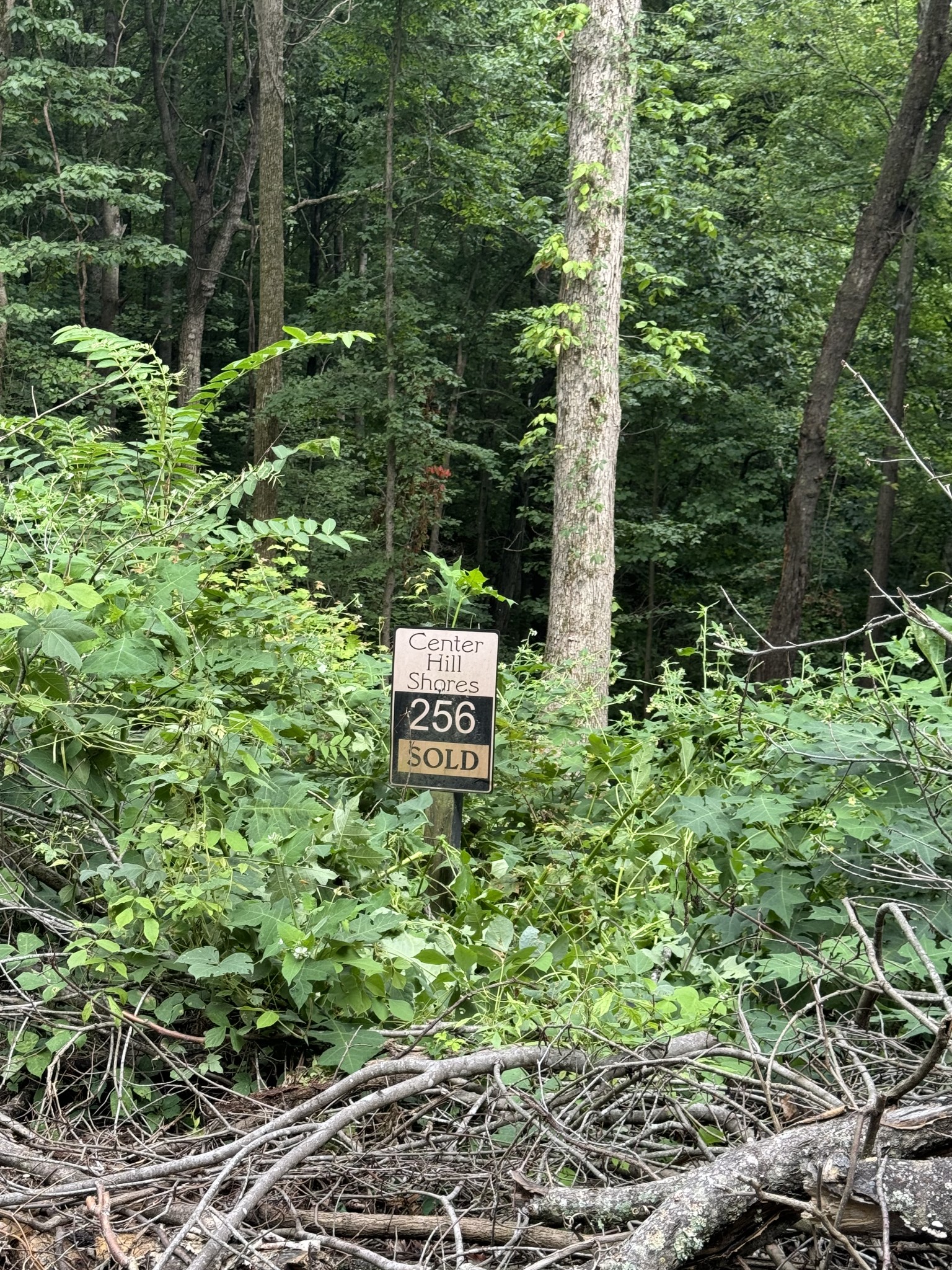 a sign that is sitting in a forest