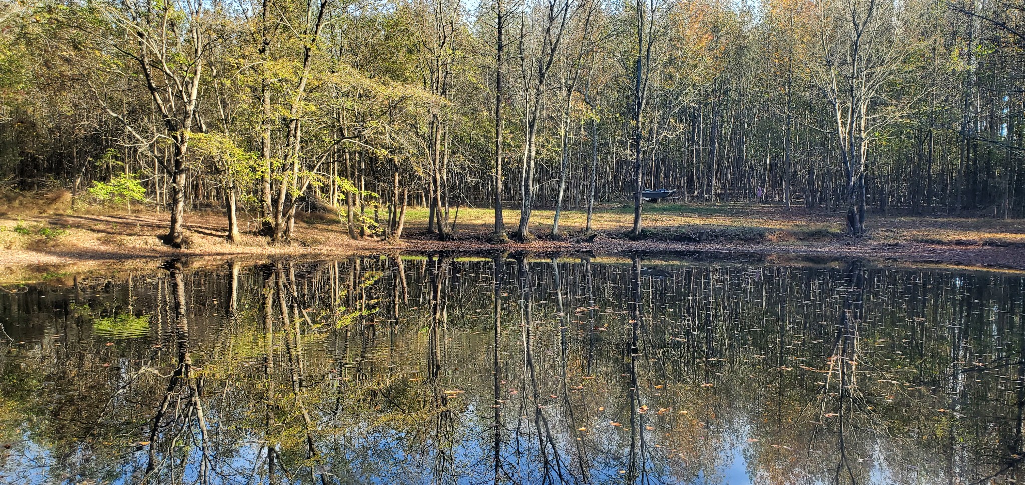 a view of swimming pool with trees in the background