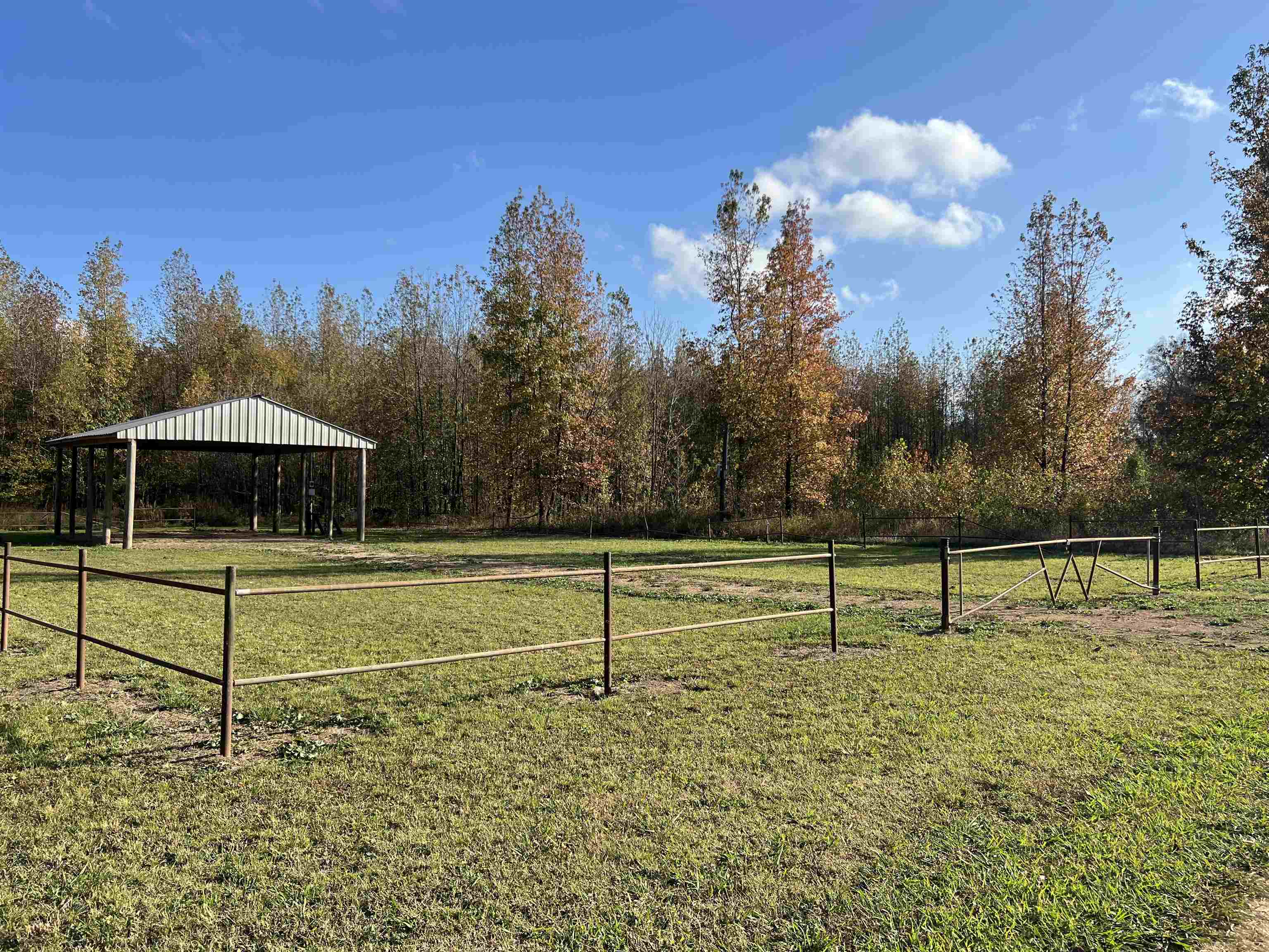 a view of a park with large trees