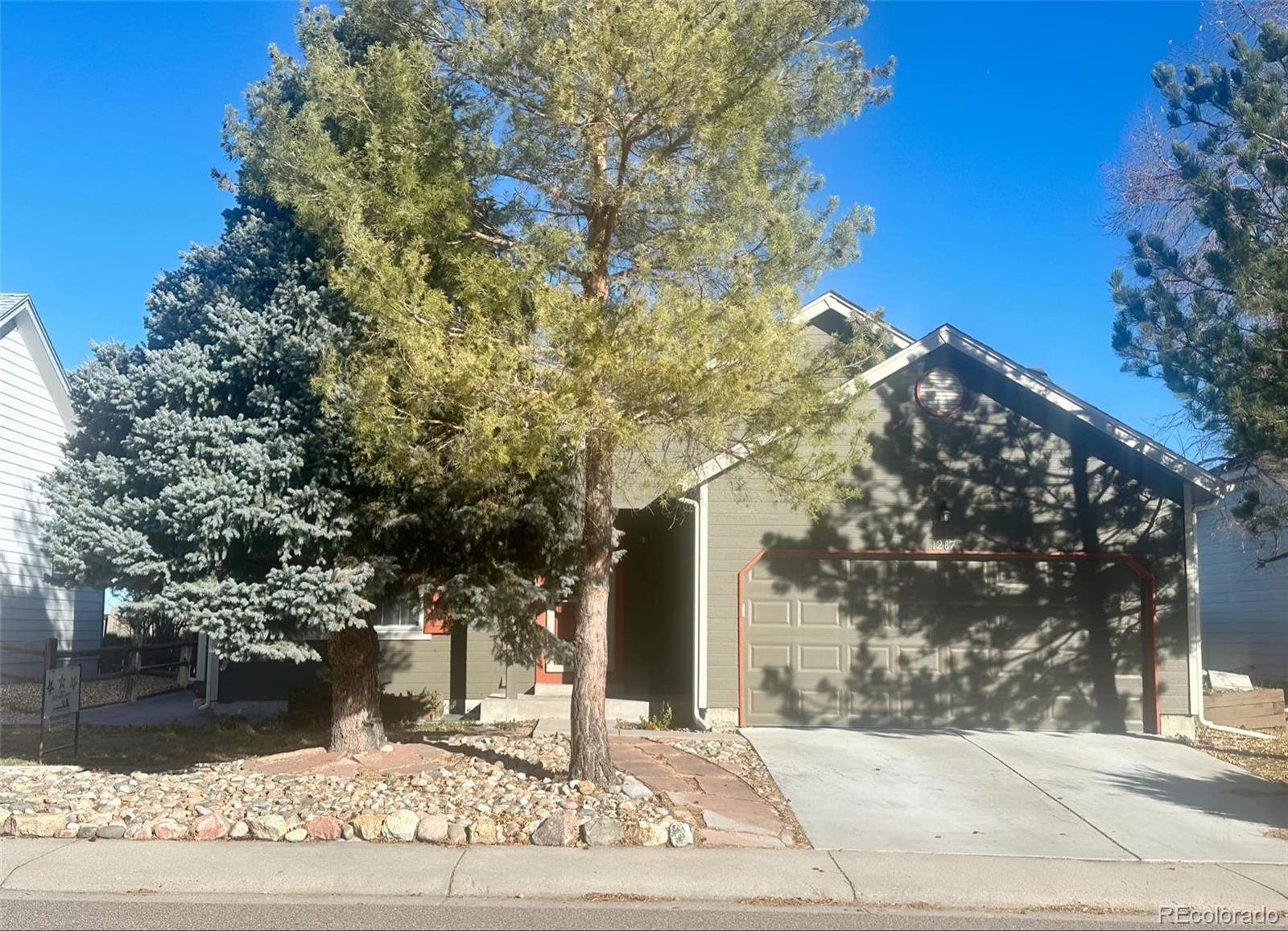 a view of a yard with plants and trees