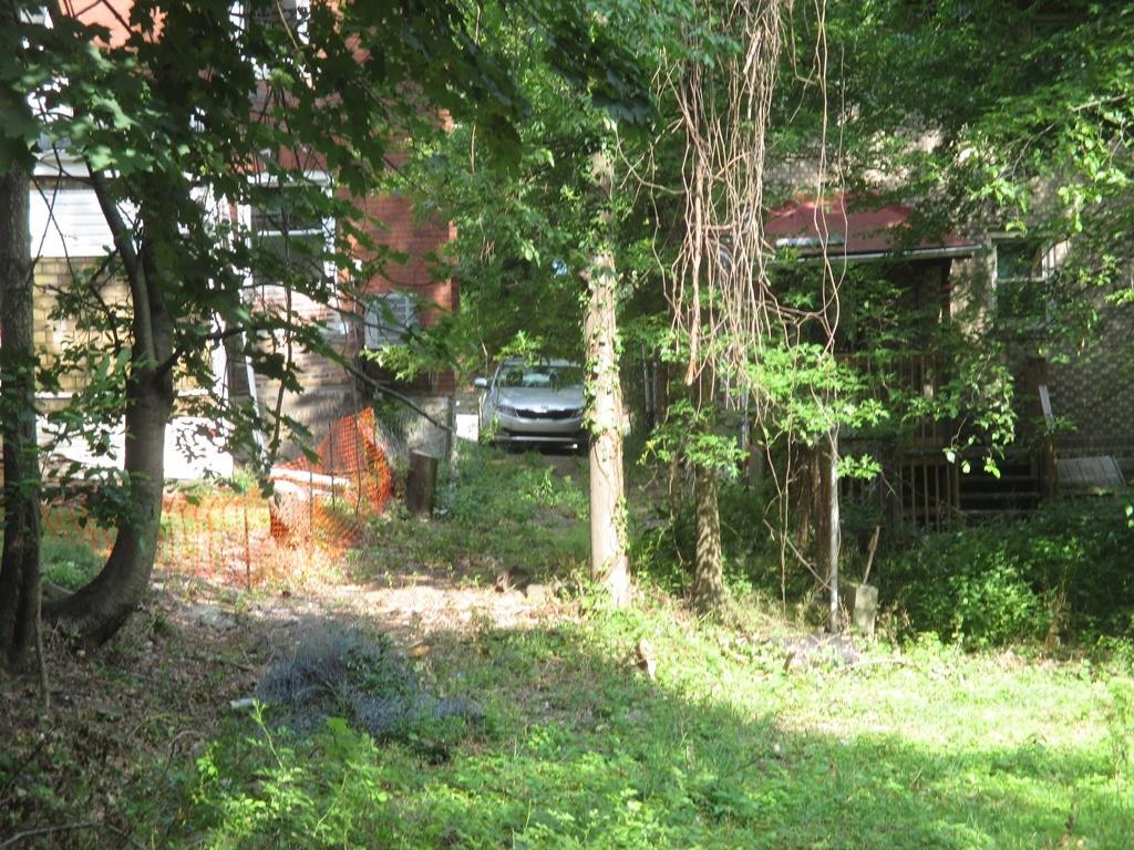 a backyard of a house with lots of green space