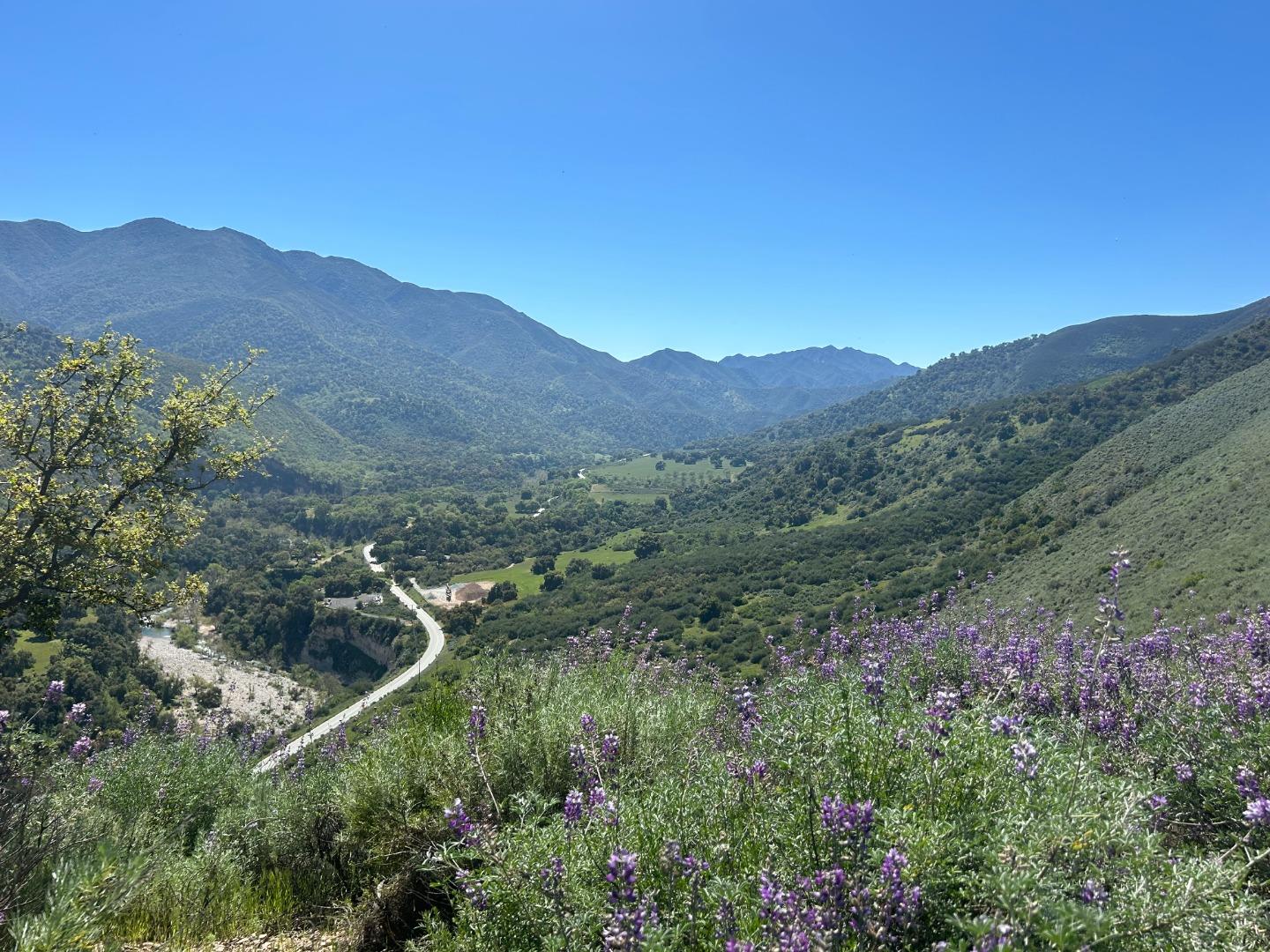 a view of a mountain range with lush green forest