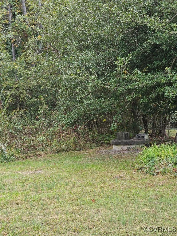 a view of a yard with a tree