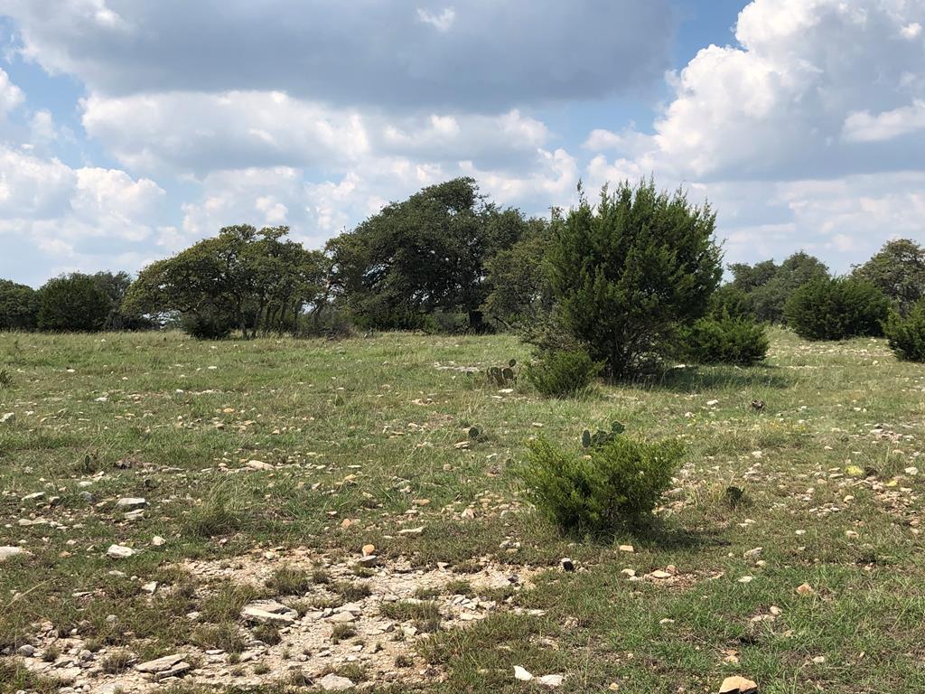 a view of a field with an trees