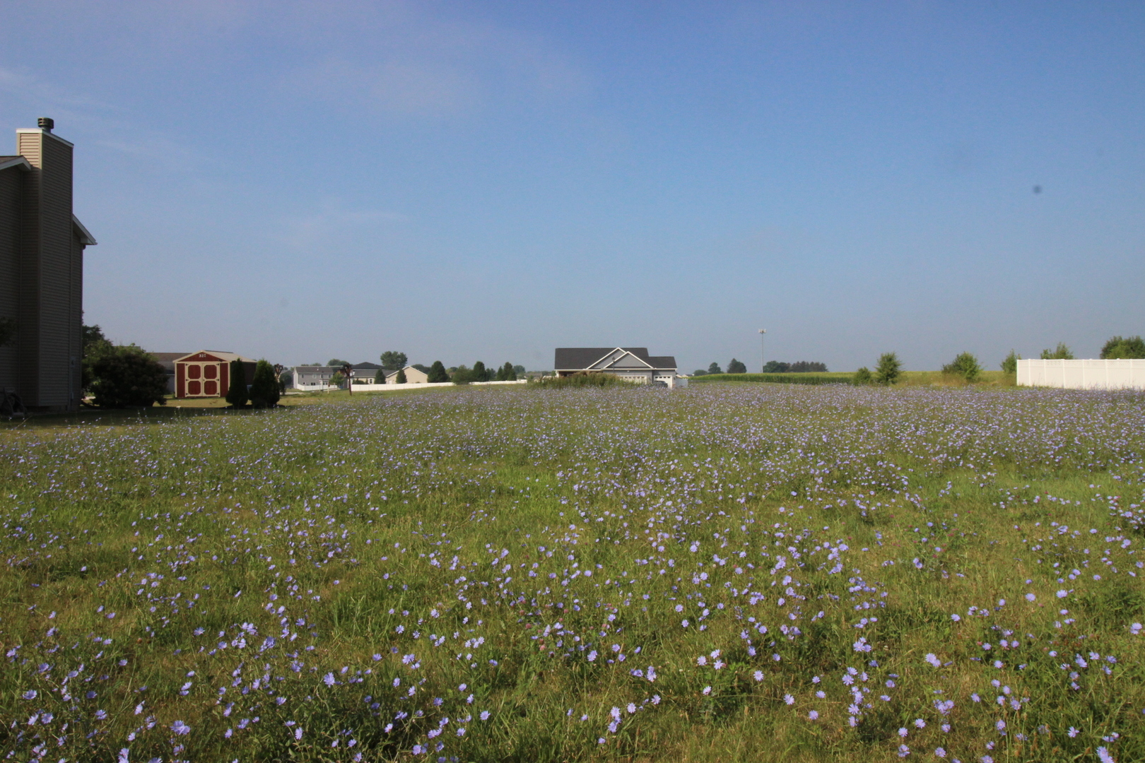 a view of a large building with a yard