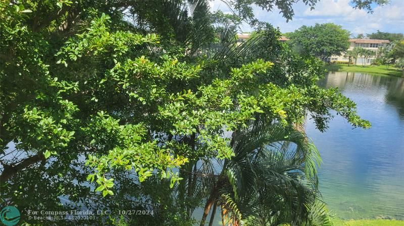 a view of a lake