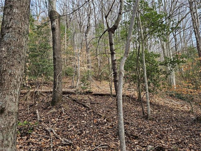 $25,900 | Tbd Larkins Little Mountain Road | Beaver Creek Township - Wilkes County