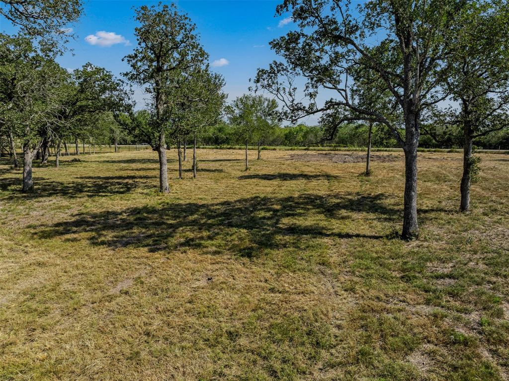 a view of a field with trees