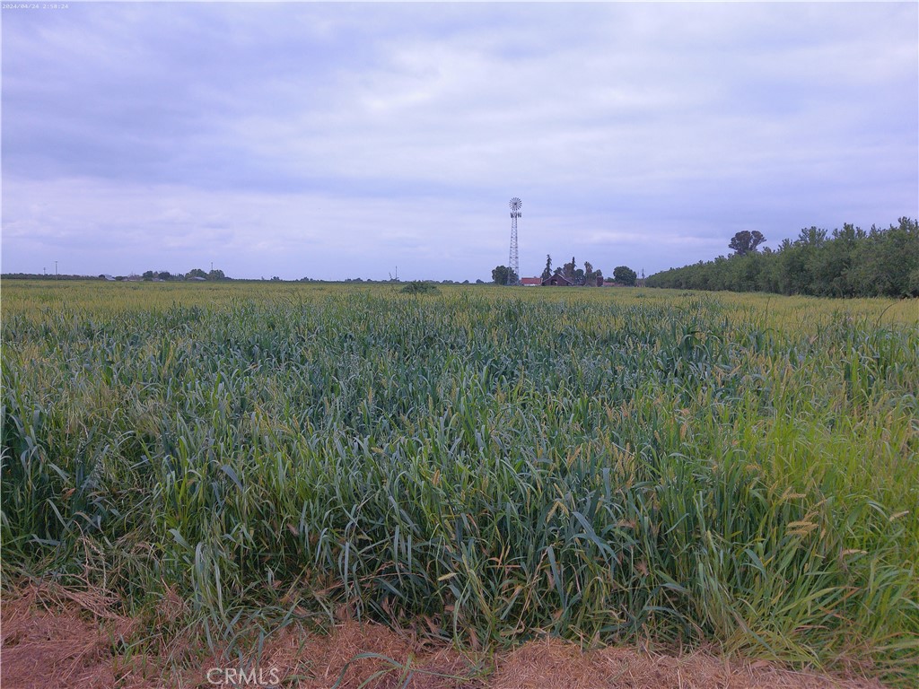 View from Baxter Rd