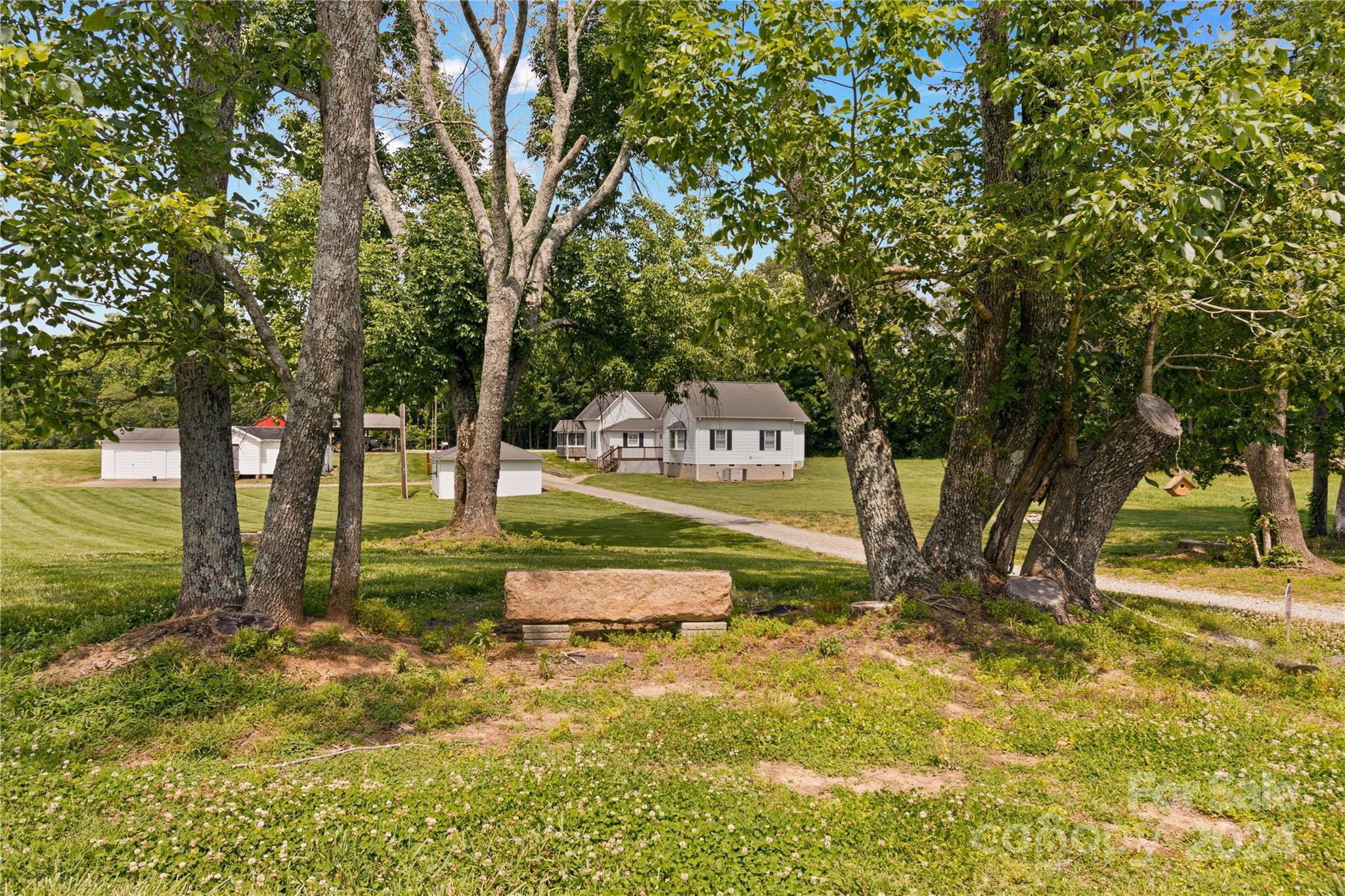 a view of a garden with trees