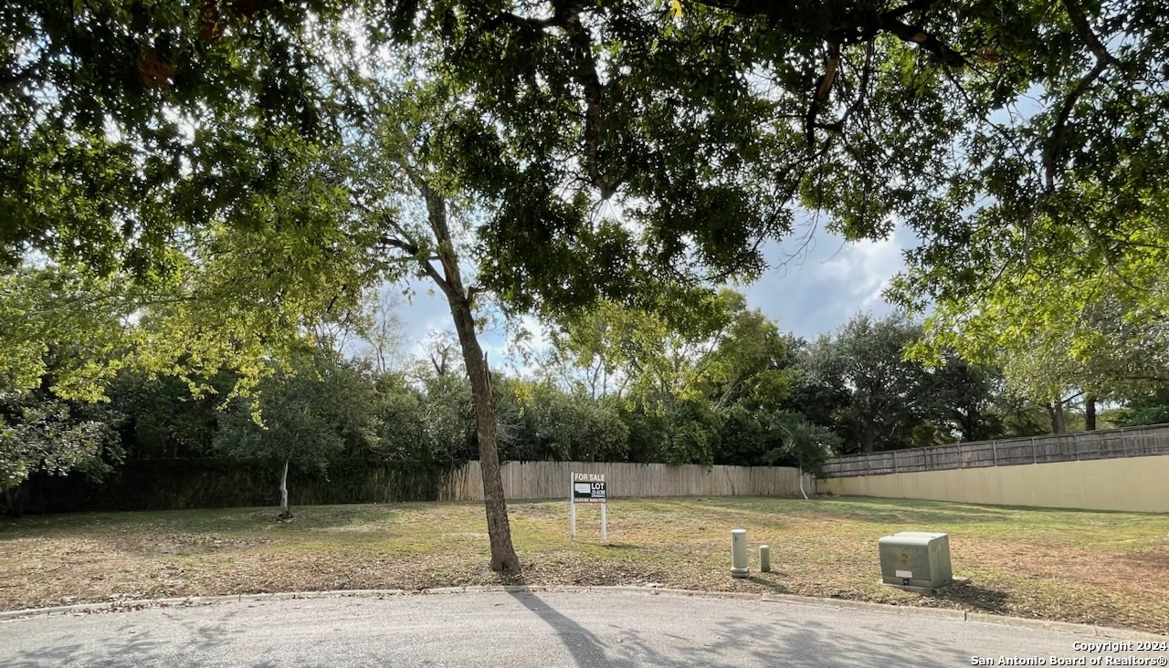 a view of a yard with a tree