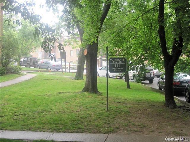 a view of a trees in front of a yard