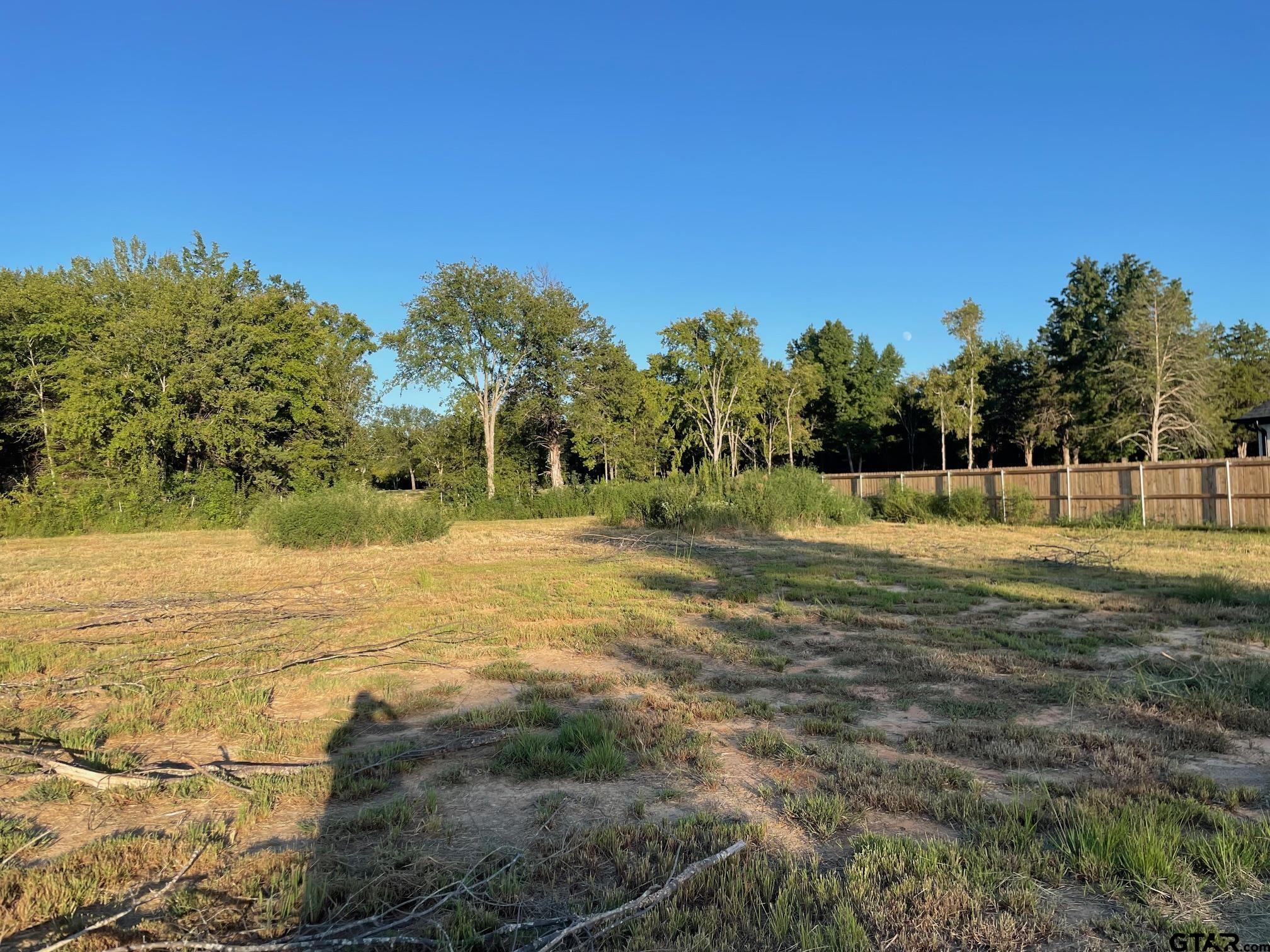 a view of a yard with a house