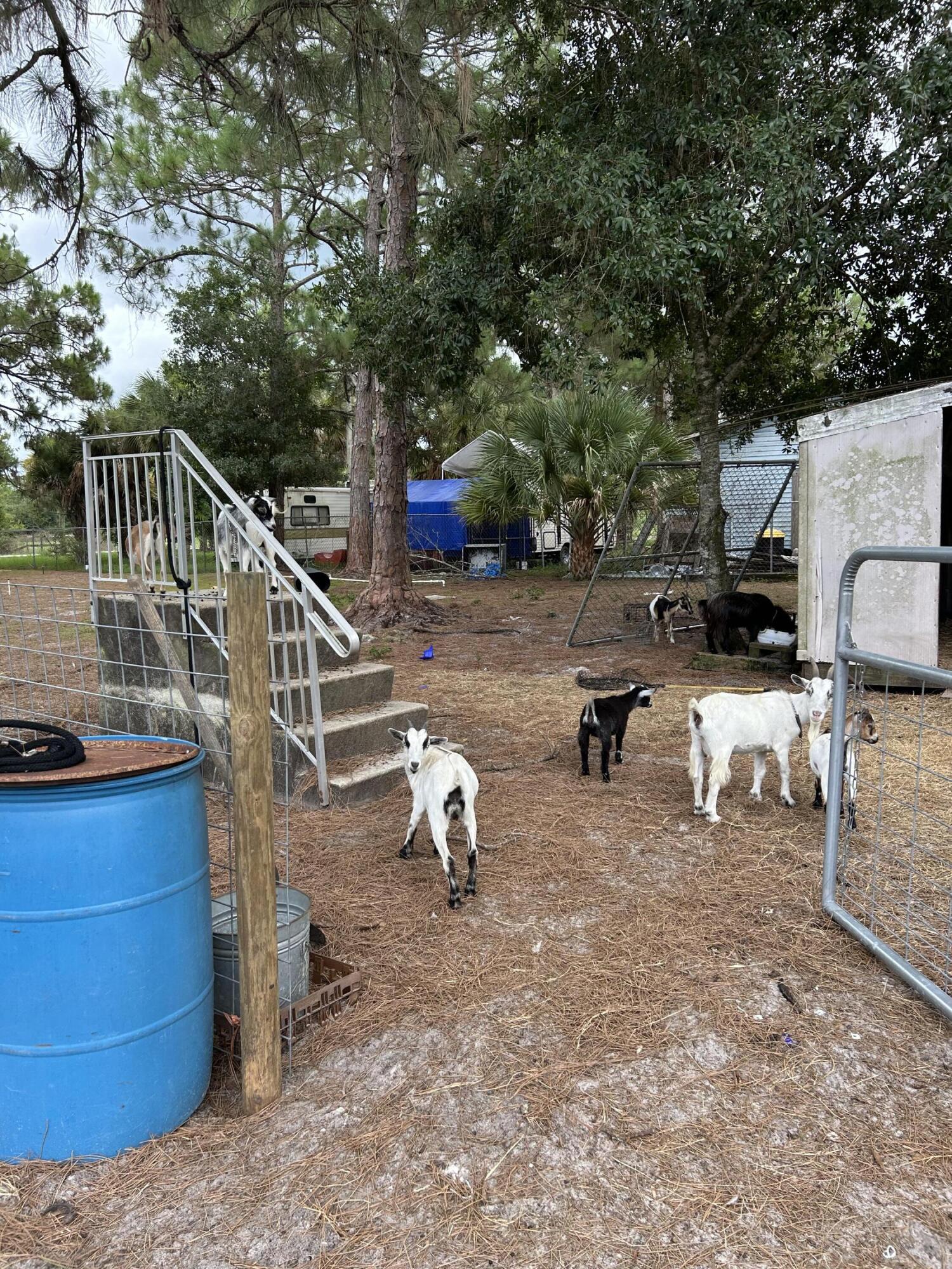 a view of a yard with a patio