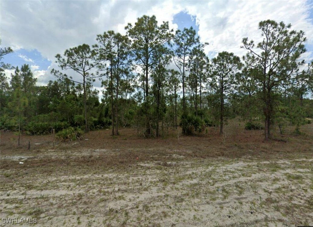 a view of outdoor space with trees