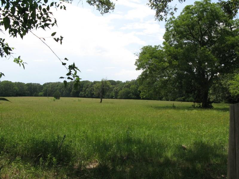 a view of yard with green space