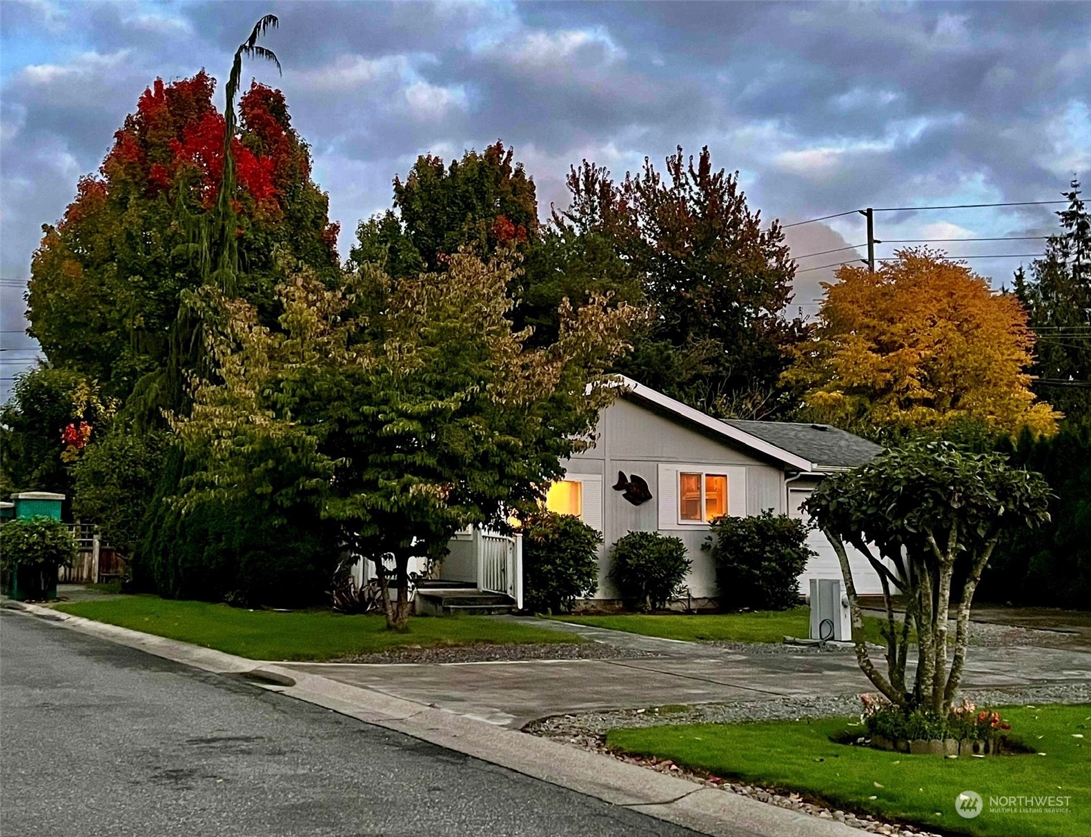 a white house that has a tree in front of it