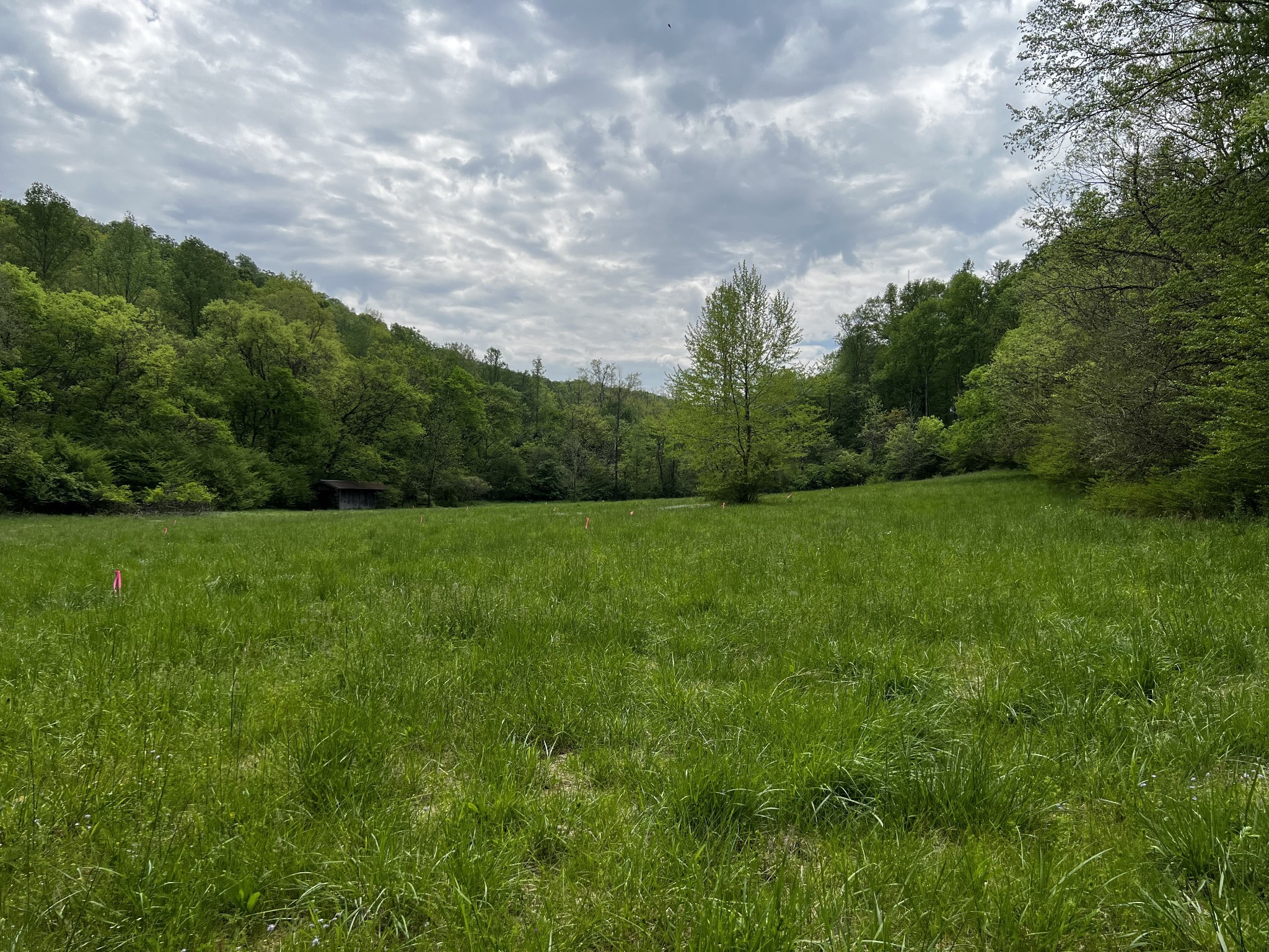 a view of a green field with wooden fence