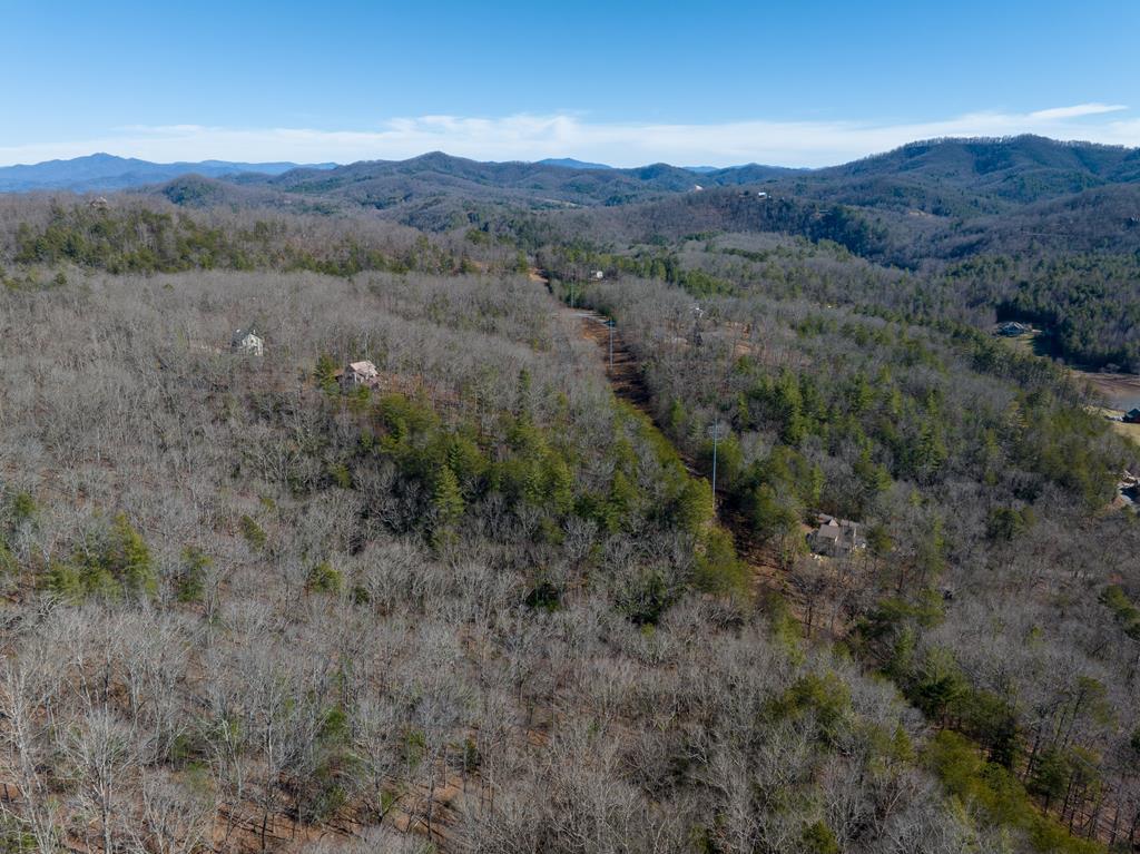 an aerial view of mountain and trees