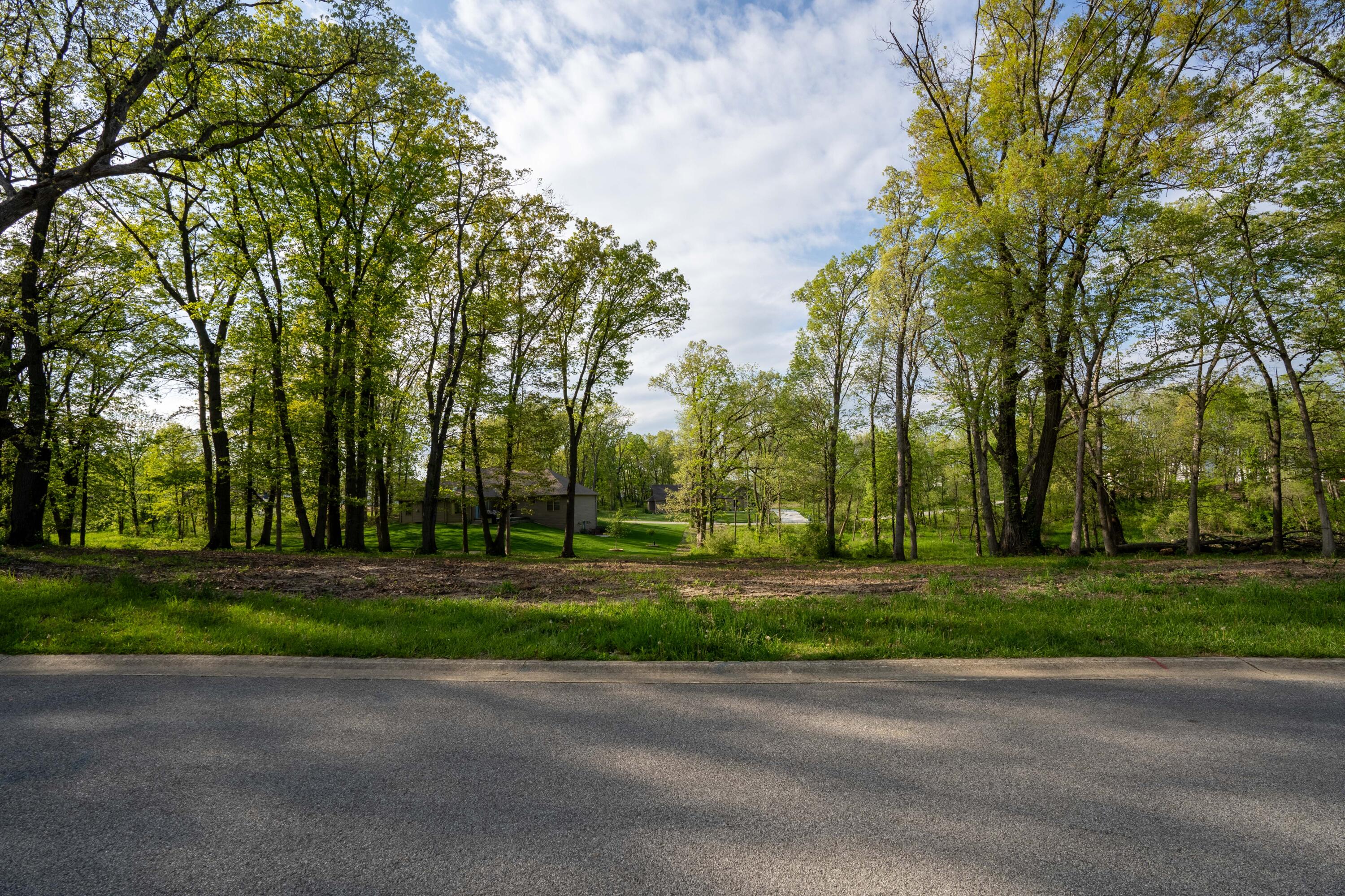 a yard with trees in the background