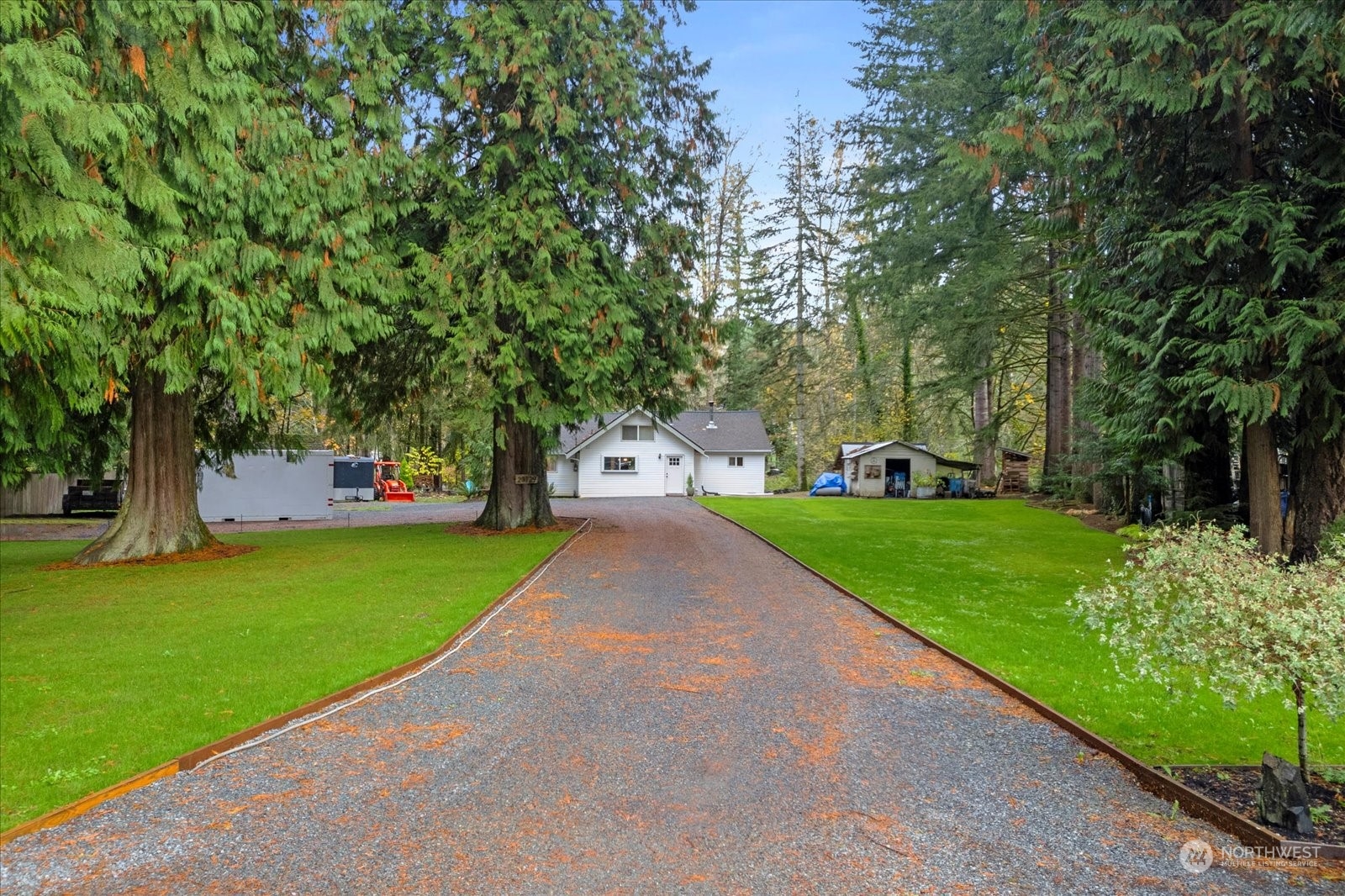 a view of a park with large trees