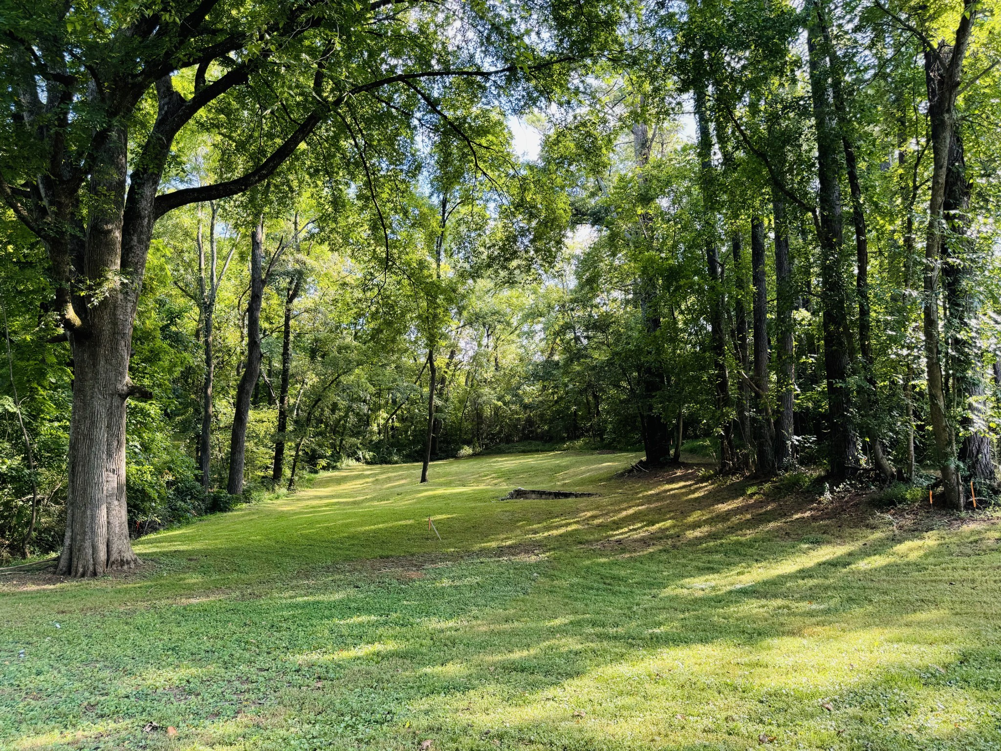 a view of a park with trees in the background