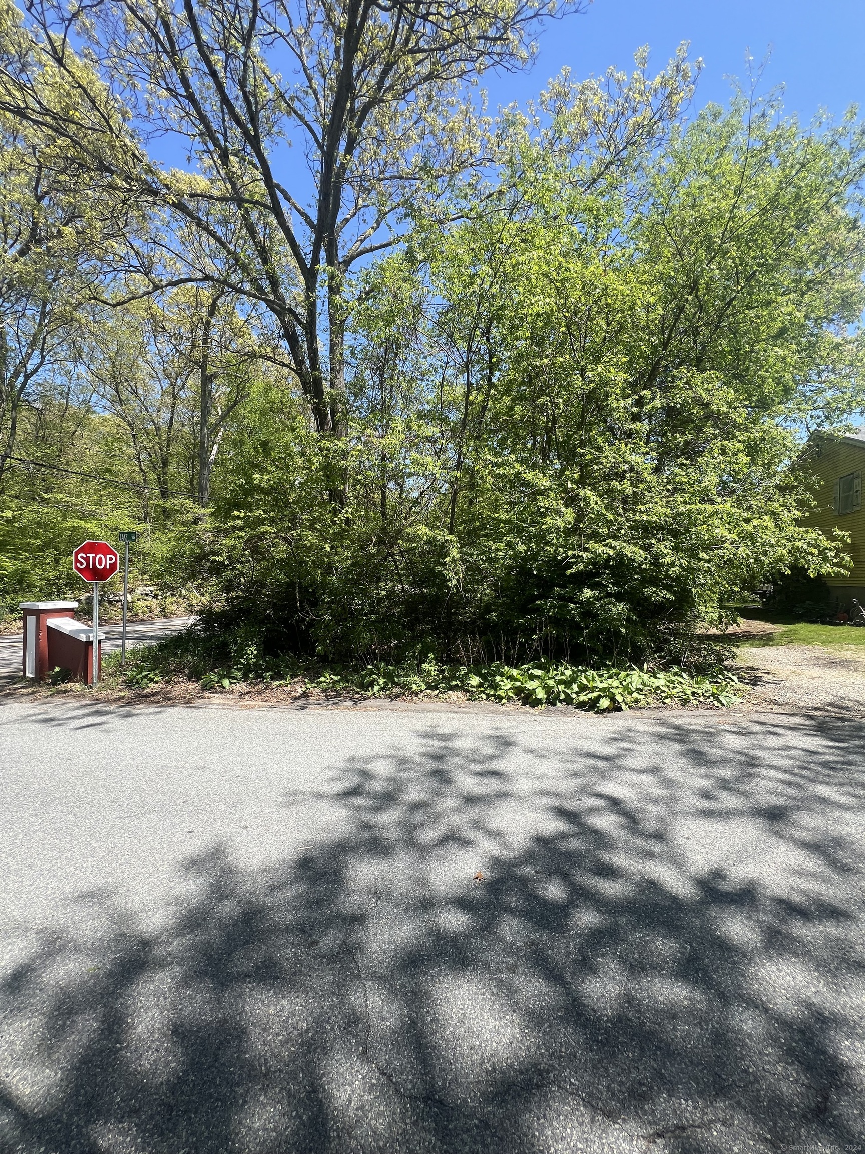 a view of path along with trees