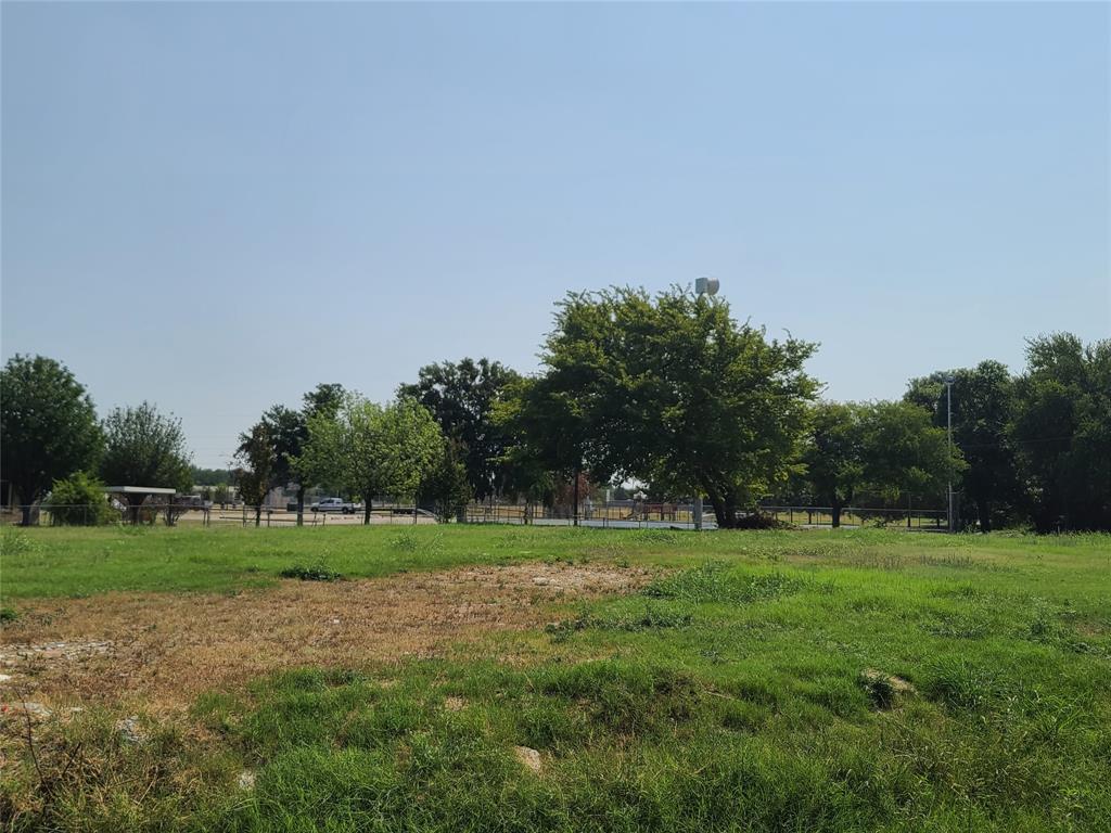 a view of a grassy field with trees