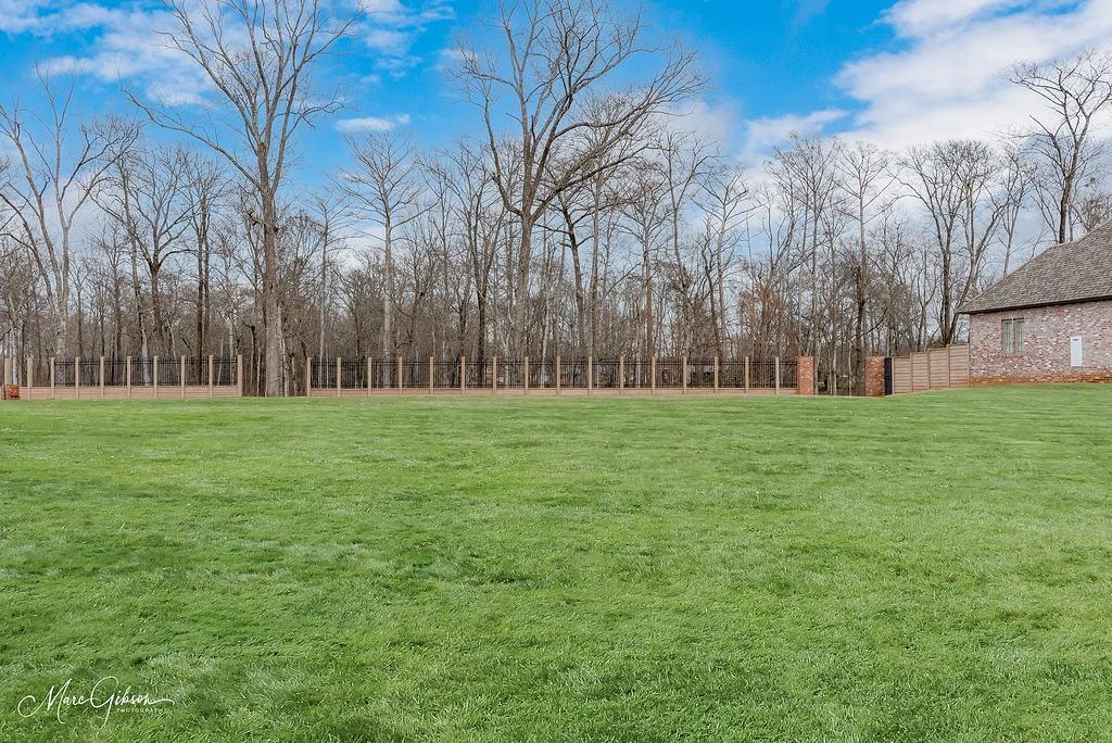 a view of yard with trees