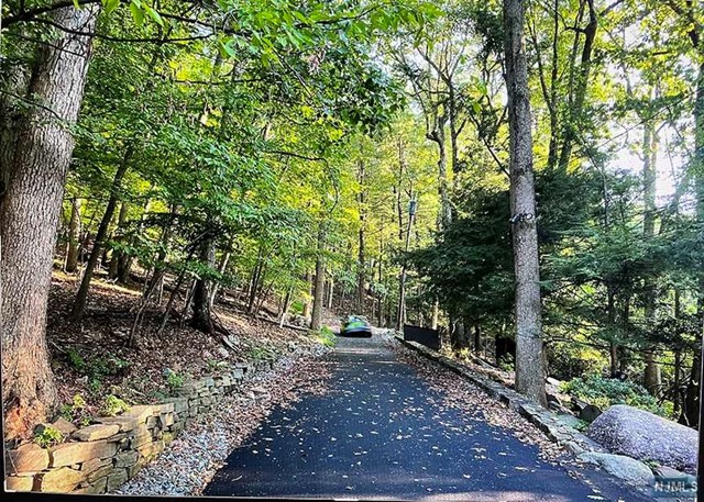 a view of a forest with trees