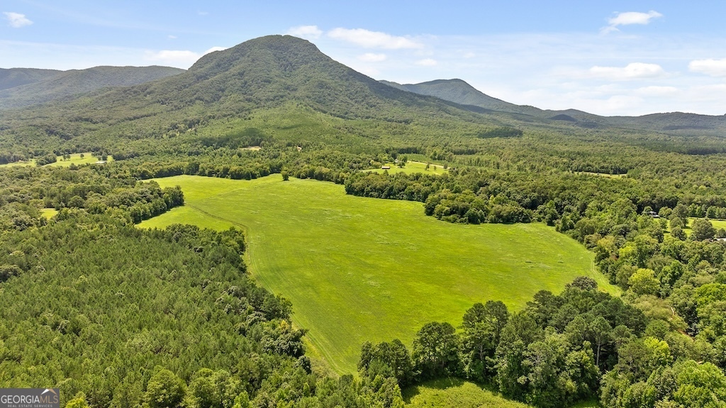 a view of a lush green hillside and a houses