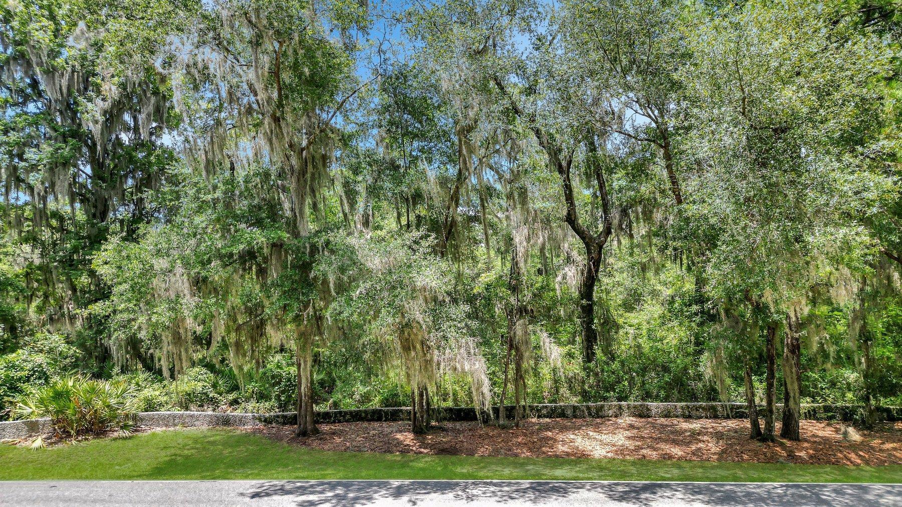 Lot 10 St Josephs Point, Darien, GA 31305